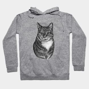 Tabby Hoodie